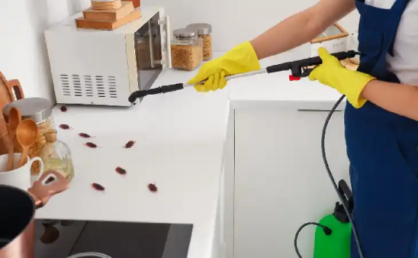 ابادة حشرات المعادي: 3 أخطاء تدمر صحة أسرتك عند استخدام مبيدات السوبر ماركت